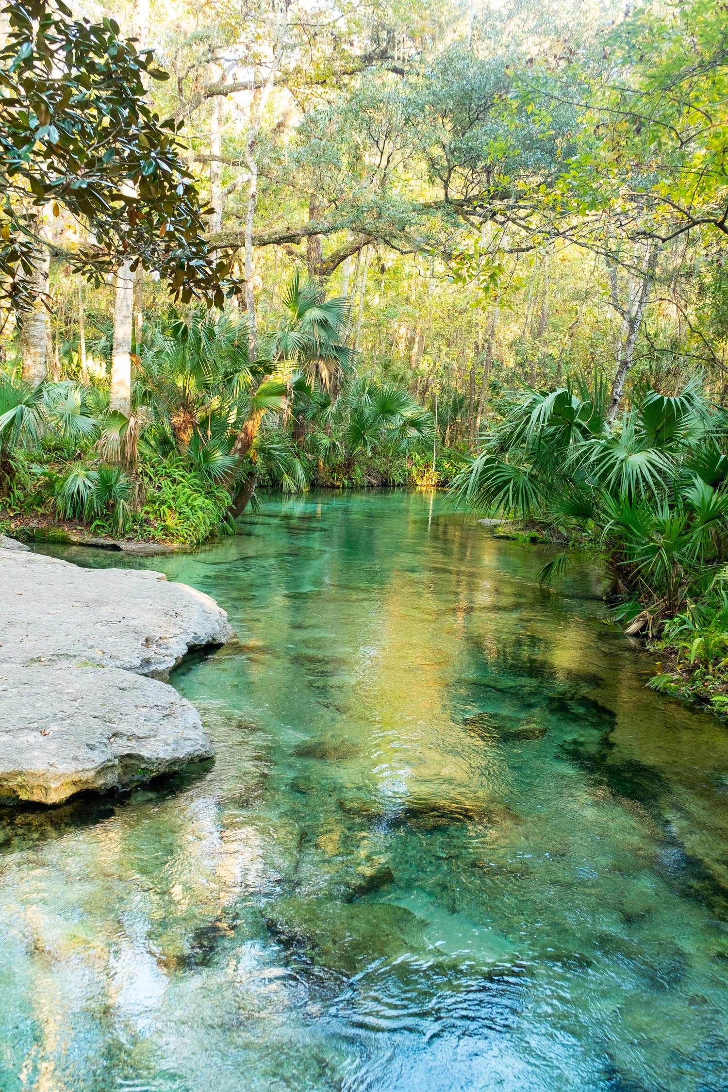 Nature