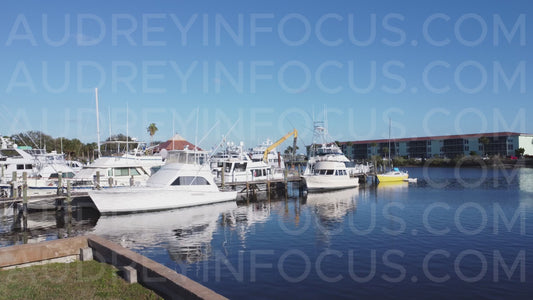 Scenic Waterfront Marina Construction