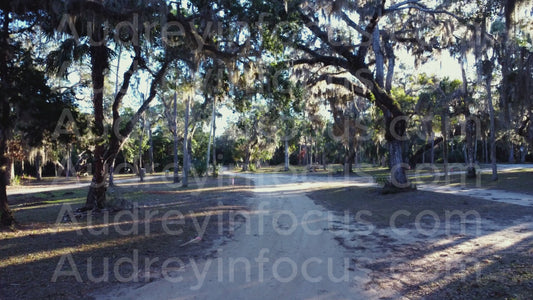 Tomoka Park, Ormond Beach FL. Drone Footage